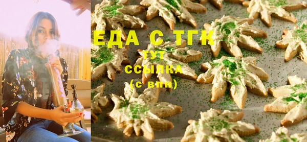 СК Балахна