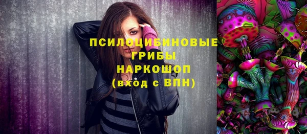 СК Балахна