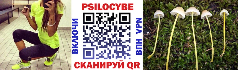 где найти наркотики  Демидов  Галлюциногенные грибы ЛСД 